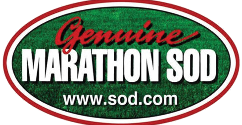 Marathon Sod
