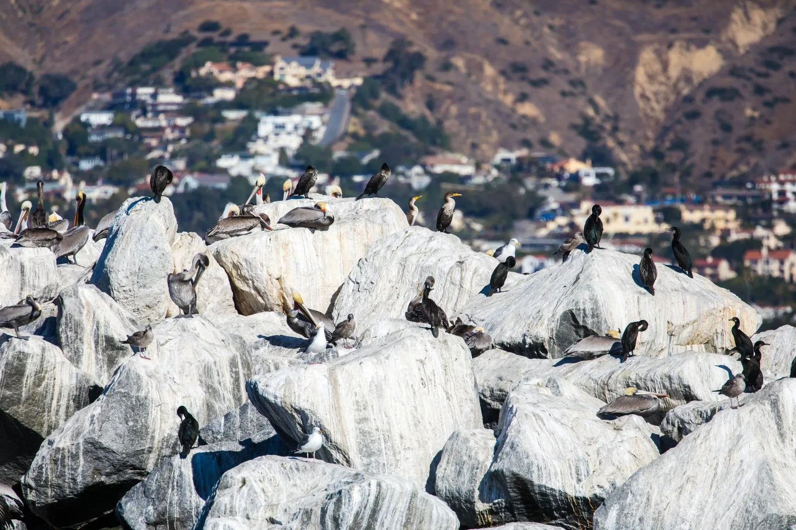 April 2024 WHEEL Meeting