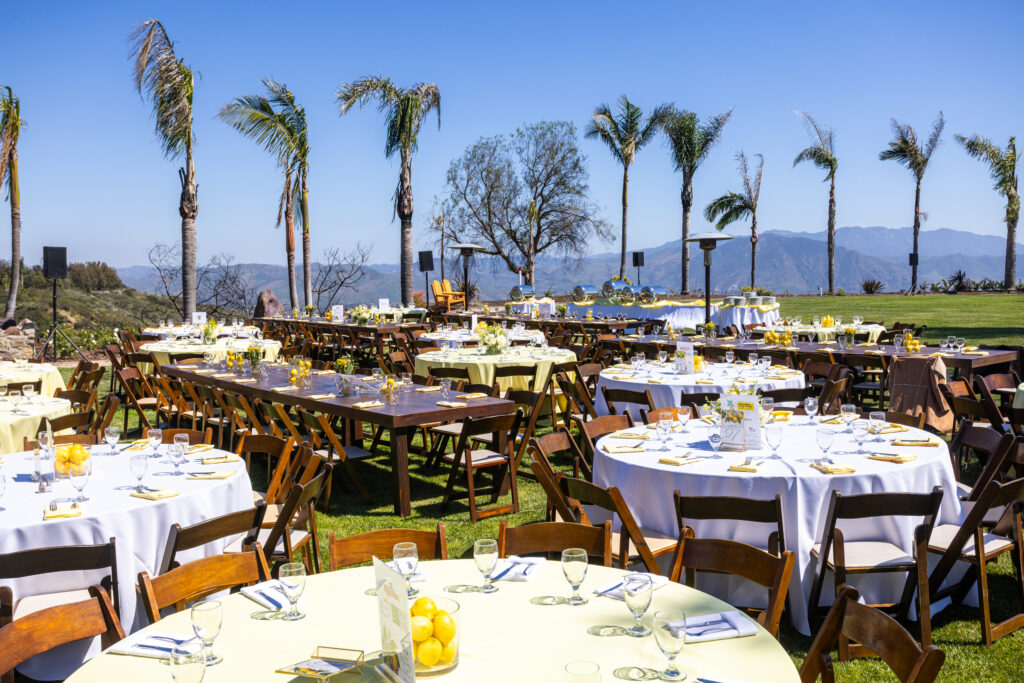 Spring Fling fundraiser