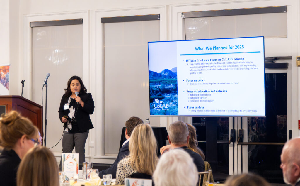 Annual Meeting 2025 photo